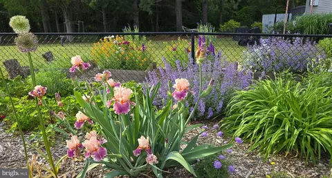 Other - 5188 Aireys Rd, Cambridge, MD 21613 photo 5 of 33