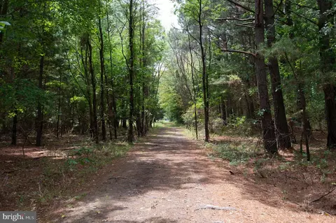 6046 Todds Point Rd, Cambridge, MD 21613 photo 77