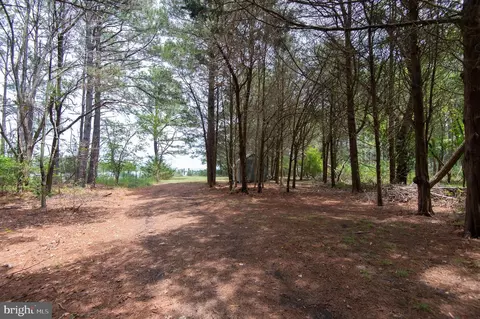 6046 Todds Point Rd, Cambridge, MD 21613 photo 78