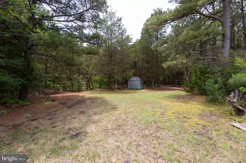 6046 Todds Point Rd, Cambridge, MD 21613 photo 80