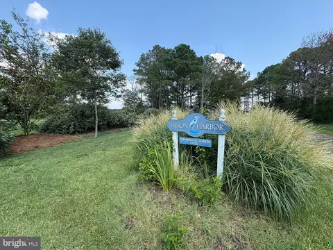 5229 Heron Rd, Cambridge, MD 21613 photo 6