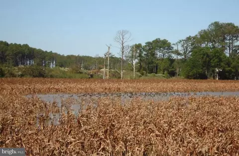 Other - 2209 Asquith Is, Crapo, MD 21626 photo 2 of 5