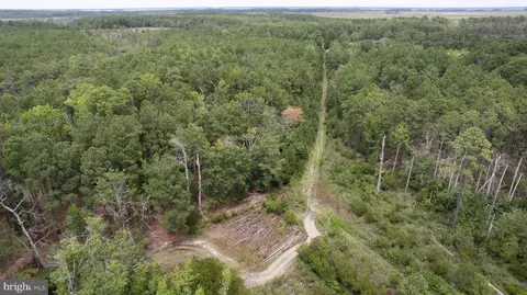 Andrews Road, Crapo, MD 21626 photo 19