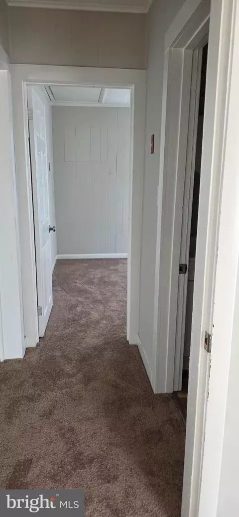 Entry Way - 429 Camper St, Cambridge, MD 21613 photo 3 of 5