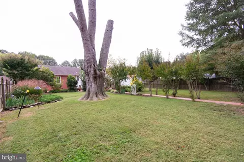Exterior - 409 Talbot Ave, Cambridge, MD 21613 photo 14 of 20