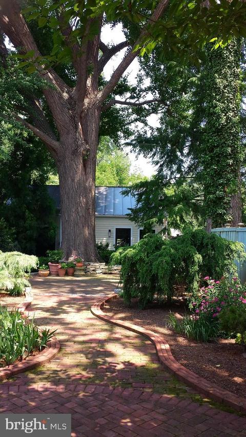 219 E 2nd St, Frederick, MD 21701 photo 50