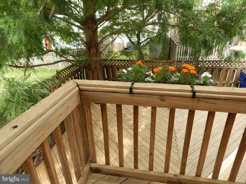 5248 Earles Ct, Frederick, MD 21703 photo 34