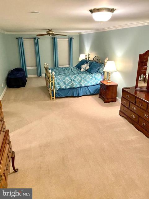 9034 Spring Valley Dr, Frederick, MD 21701 photo 18