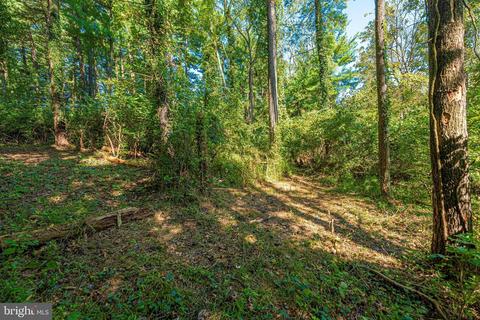 7103 Ridge Rd, Frederick, MD 21702 photo 72