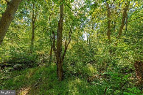 7103 Ridge Rd, Frederick, MD 21702 photo 70