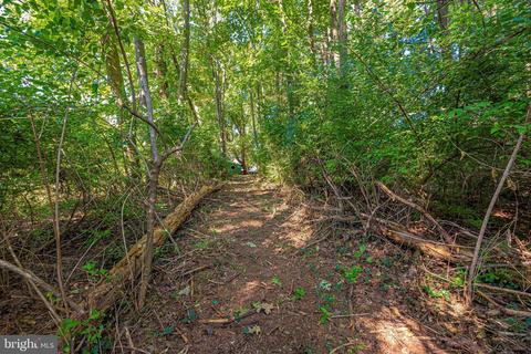 7103 Ridge Rd, Frederick, MD 21702 photo 73
