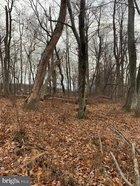 14044 Fox Tower Rd, Smithsburg, MD 21783 photo 81