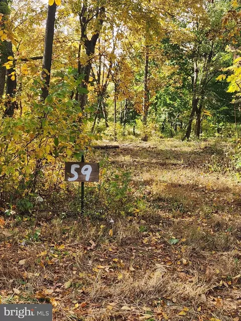 59 Mountaintop Rd, Cascade, MD 21719 photo 7