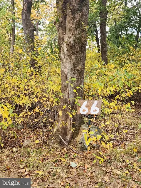 66 Mountaintop Rd, Cascade, MD 21719 photo 8