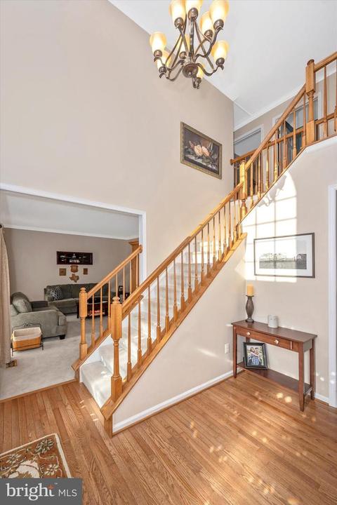 6803 Morrow Way, Frederick, MD 21703 photo 21