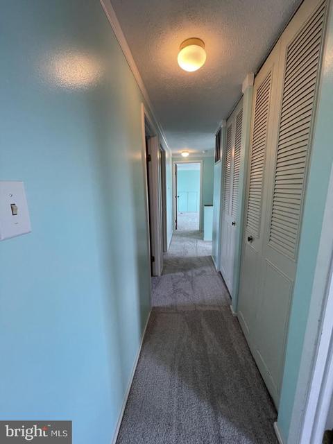 1341 Butterfly Ln, Frederick, MD 21703 photo 30