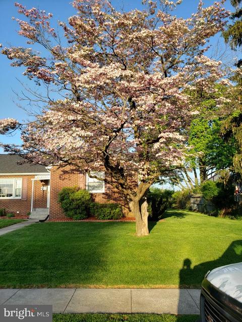 806 Pine Ave, Frederick, MD 21701 photo 50
