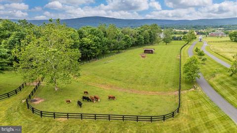 10093 Masser Rd, Frederick, MD 21702 photo 73