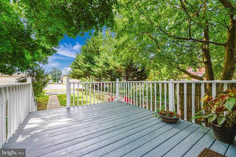 306 E 3rd St # a, Frederick, MD 21701 photo 39