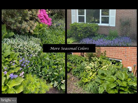 6782 Sunnybrook Dr, Frederick, MD 21702 photo 60