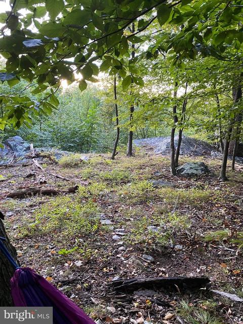 3940 Forest School Rd, Smithsburg, MD 21783 photo 6