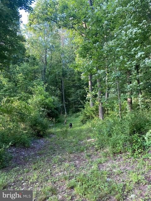3940 Forest School Rd, Smithsburg, MD 21783 photo 12