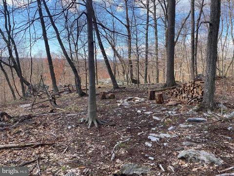 3940 Forest School Rd, Smithsburg, MD 21783 photo 11