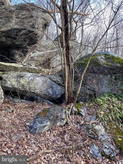 3940 Forest School Rd, Smithsburg, MD 21783 photo 16