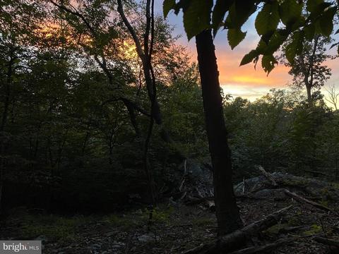 3940 Forest School Rd, Smithsburg, MD 21783 photo 4
