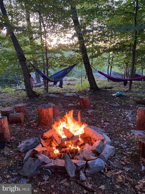 3940 Forest School Rd, Smithsburg, MD 21783 photo 5