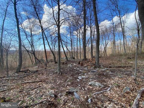 3940 Forest School Rd, Smithsburg, MD 21783 photo 10