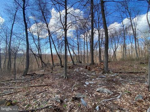 3940 Forest School Rd, Smithsburg, MD 21783 photo 9