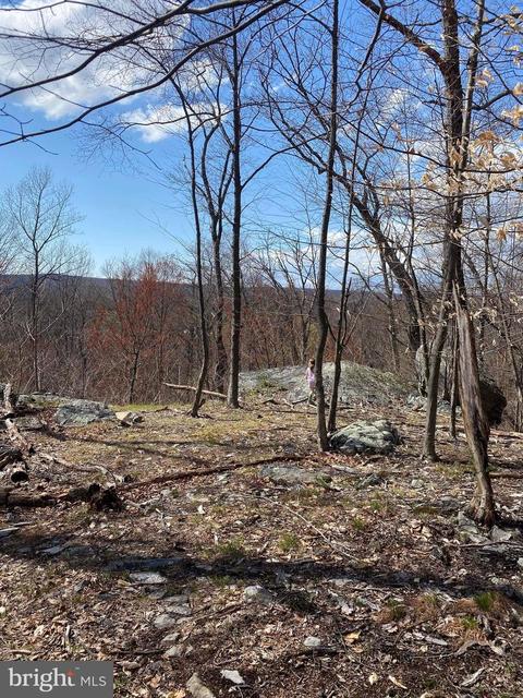 3940 Forest School Rd, Smithsburg, MD 21783 photo 13
