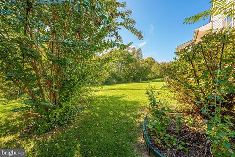 7067 Catalpa Rd, Frederick, MD 21703 photo 55