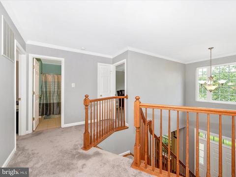 1903 Moran Dr, Frederick, MD 21702 photo 29