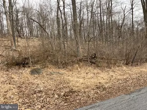 Tower, Smithsburg, MD 21783 photo 5