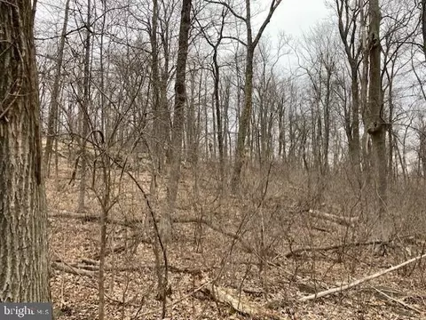 Tower, Smithsburg, MD 21783 photo 3