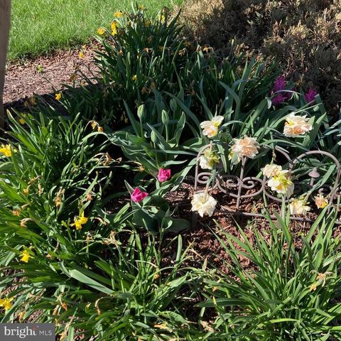1012 Bexhill Dr, Frederick, MD 21702 photo 8