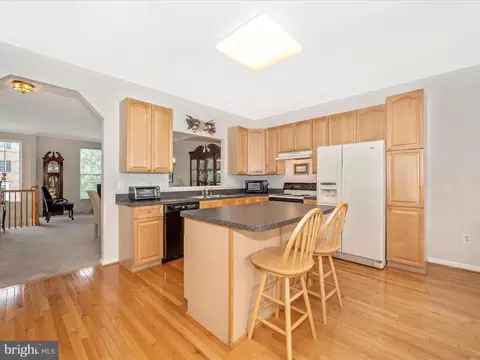 3737 Singleton Ter, Frederick, MD 21704 photo 12