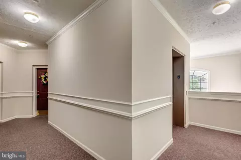 6125 M Springwater Pl, Frederick, MD 21701 photo 33
