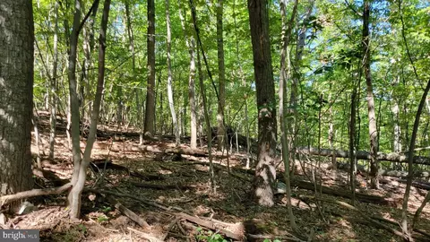 Edgemont Road, Frederick, MD 21702 photo 13