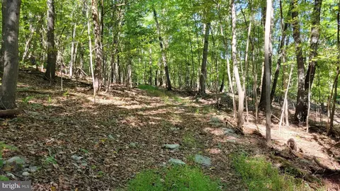 Edgemont Road, Frederick, MD 21702 photo 9