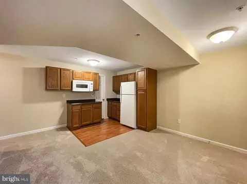 1107 Spring Run Ct, Frederick, MD 21702 photo 37