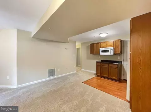 1107 Spring Run Ct, Frederick, MD 21702 photo 36
