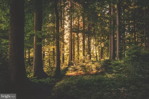 Etzler Road, Frederick, MD 21702