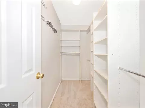 6618 Gooseander Ct, Frederick, MD 21703 photo 23
