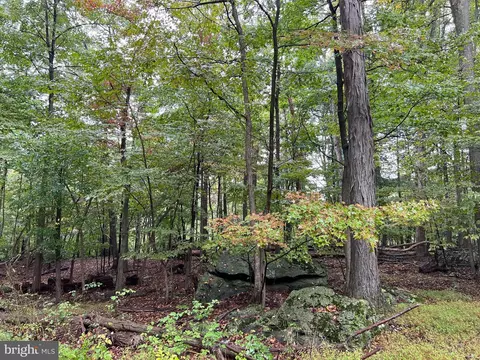 14405 Tower Road, Smithsburg, MD 21783 photo 16