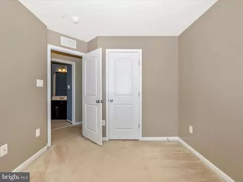4729 Verdana Loop, Frederick, MD 21703 photo 41