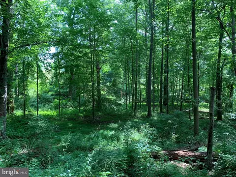Etzler Road, Frederick, MD 21702 photo 17