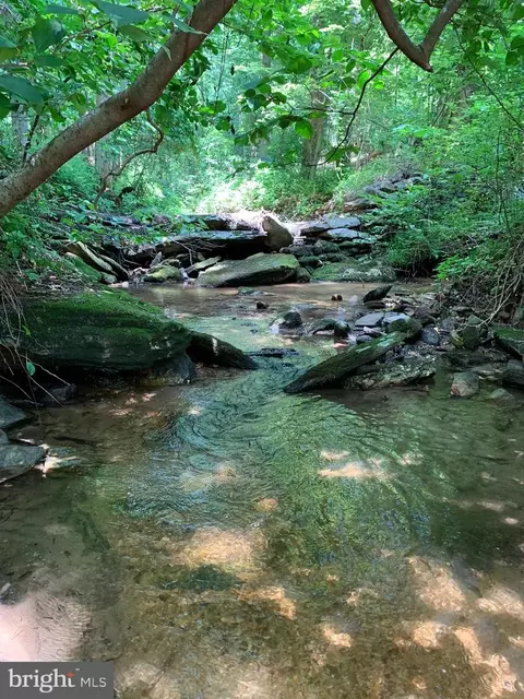 Etzler Road, Frederick, MD 21702 photo 11